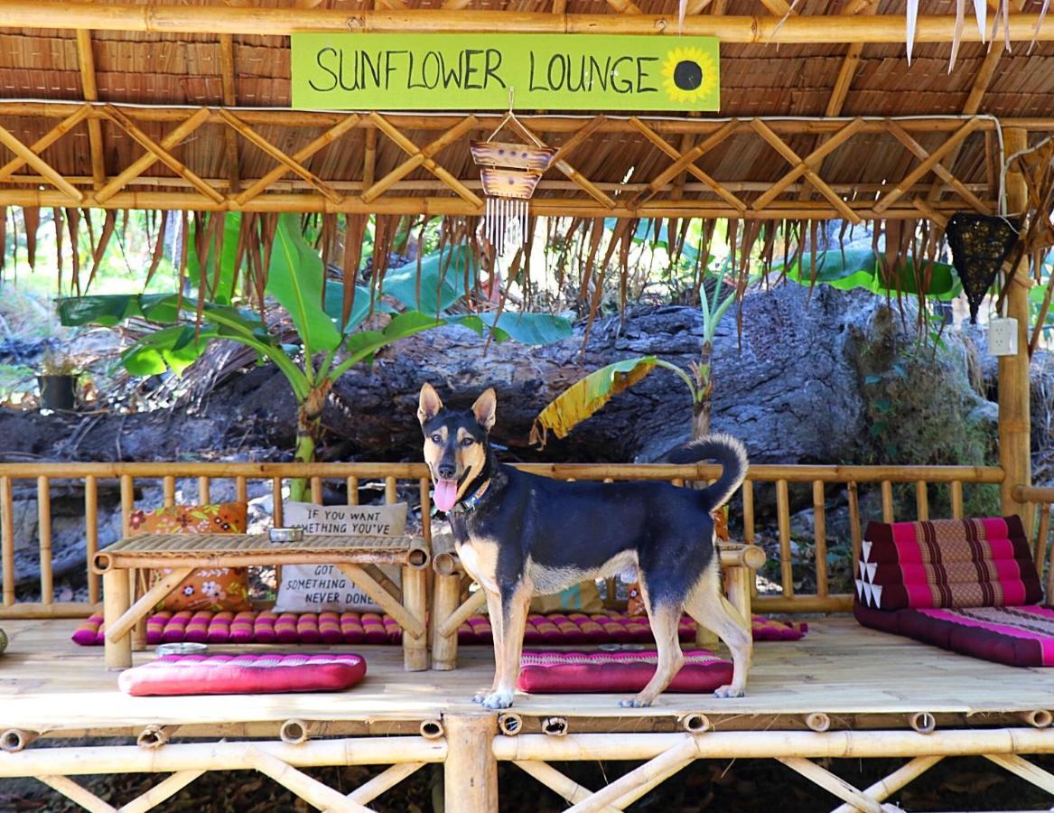 Sunflower Guesthouse And Animal Rescue - Koh Lipe Eksteriør bilde