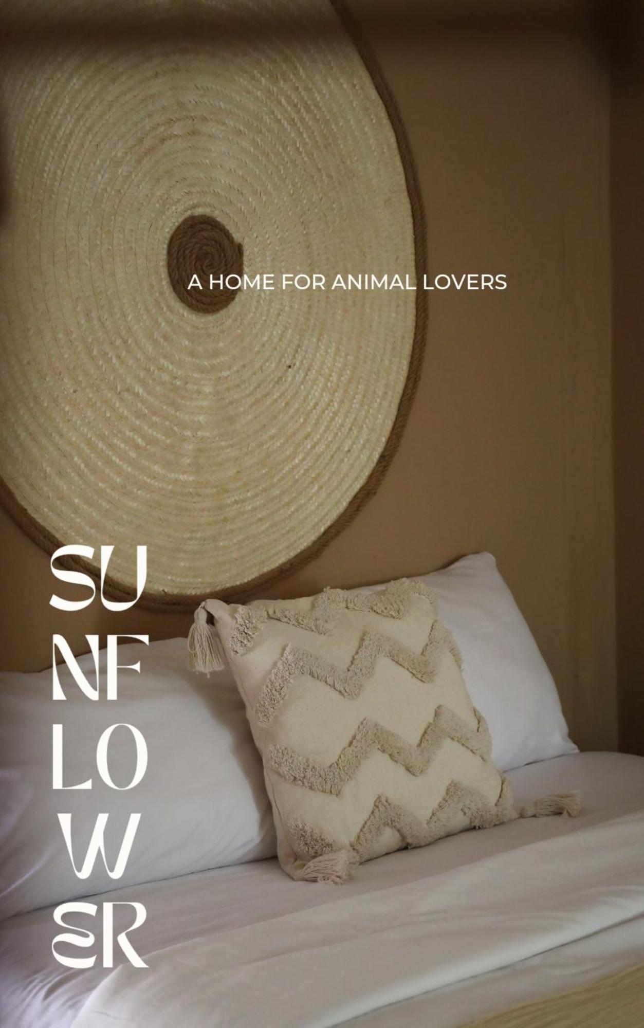 Sunflower Guesthouse And Animal Rescue - Koh Lipe Rom bilde