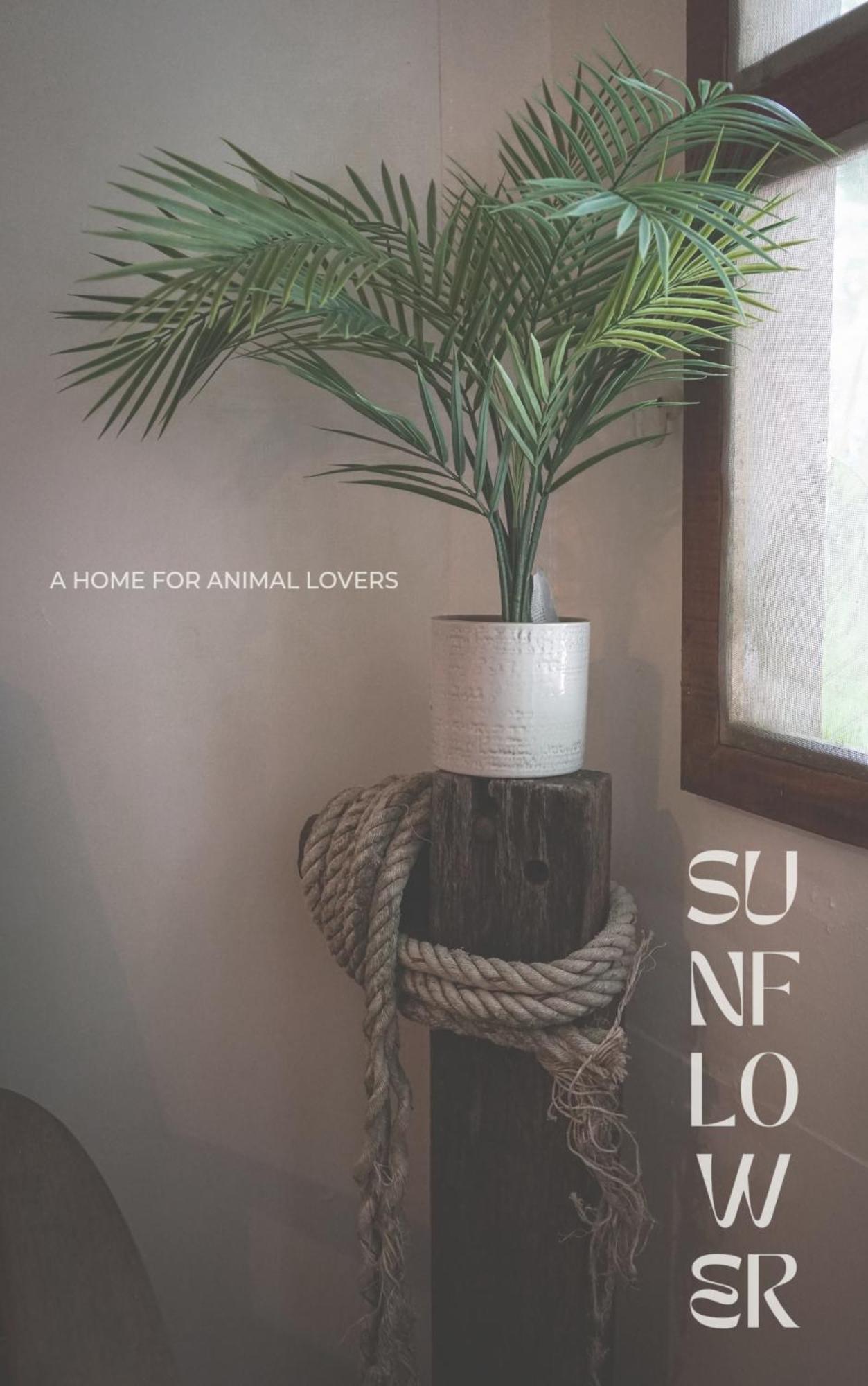 Sunflower Guesthouse And Animal Rescue - Koh Lipe Eksteriør bilde